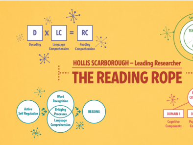 Models Behind the Science of Reading